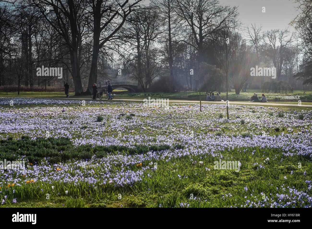 Primavera fiorisce in giardini di Frederiksberg, Copenaghen, Danimarca Foto Stock