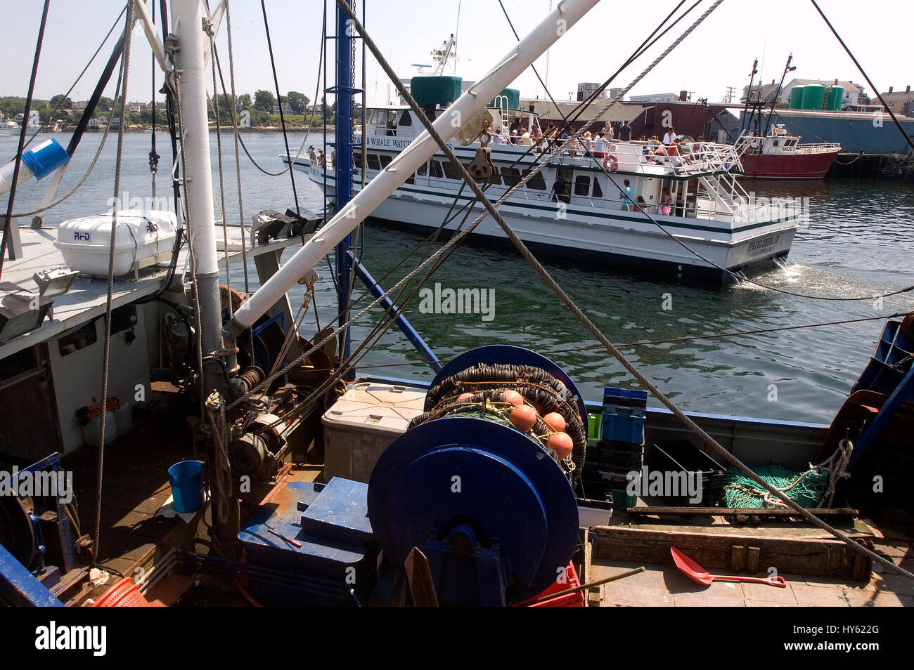 Un whalewatch tour in barca passa una barca da pesca mentre lascia il porto di Gloucester, Massachusetts Foto Stock