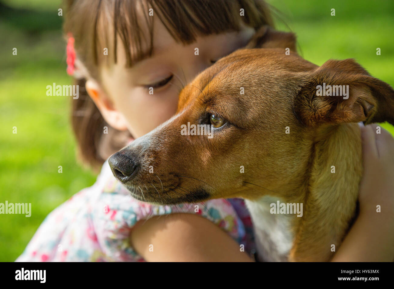 Il Toddler girl abbracciando il suo cane nel parco, San Diego, California Foto Stock