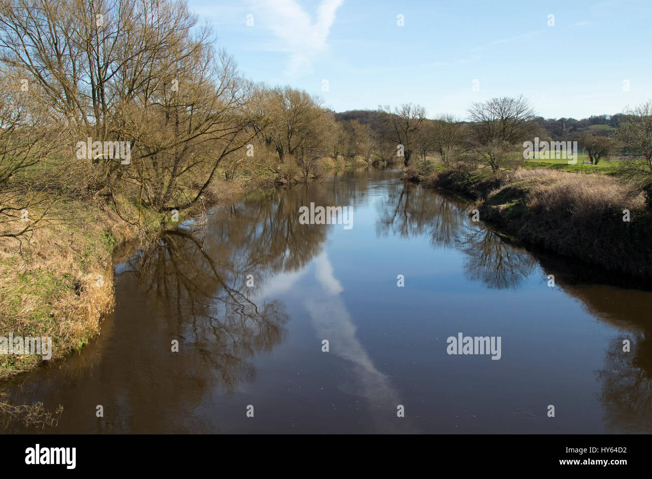 Usura del fiume, Durham, Regno Unito Foto Stock