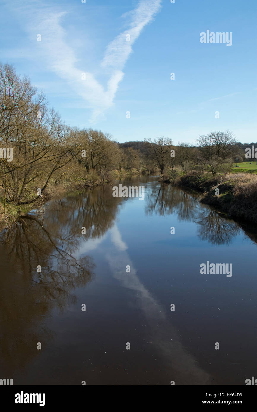 Usura del fiume, Durham, Regno Unito Foto Stock