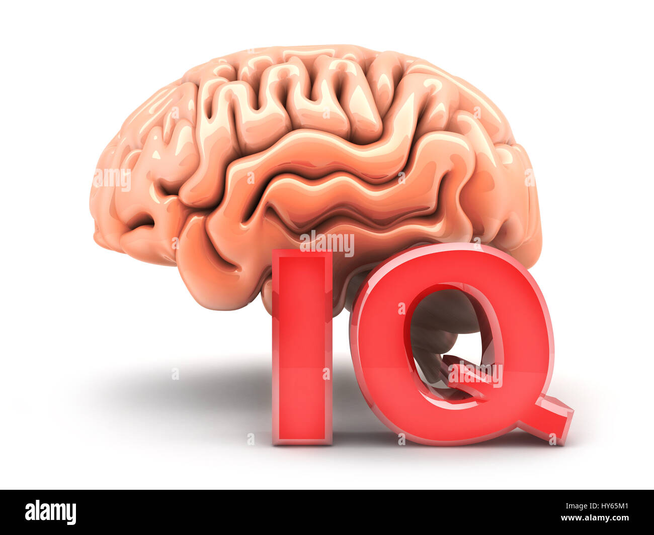 Cervello umano e segno IQ. 3d illustrazione Foto Stock