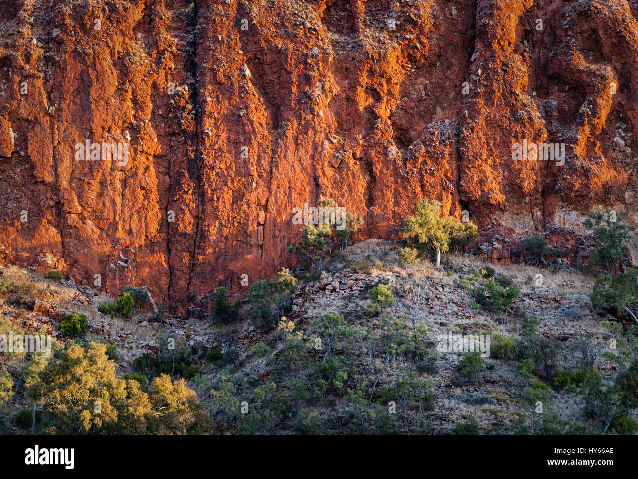 Red formazioni rocciose a Glen Helen Gorge nel Territorio del Nord Australia centrale Foto Stock