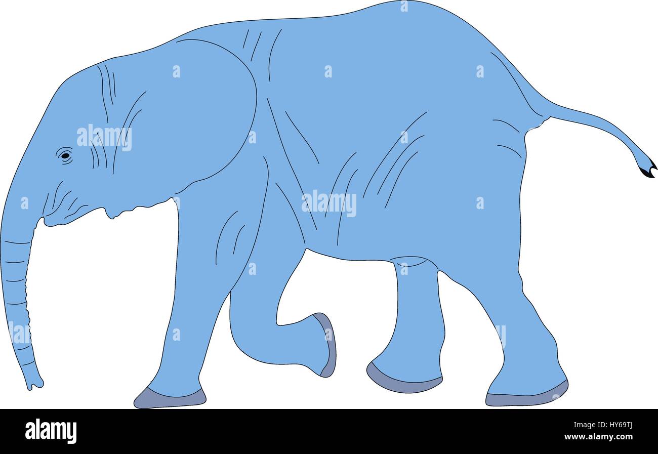 Ritratto di un simpatico elefante africano a Calw Illustrazione Vettoriale