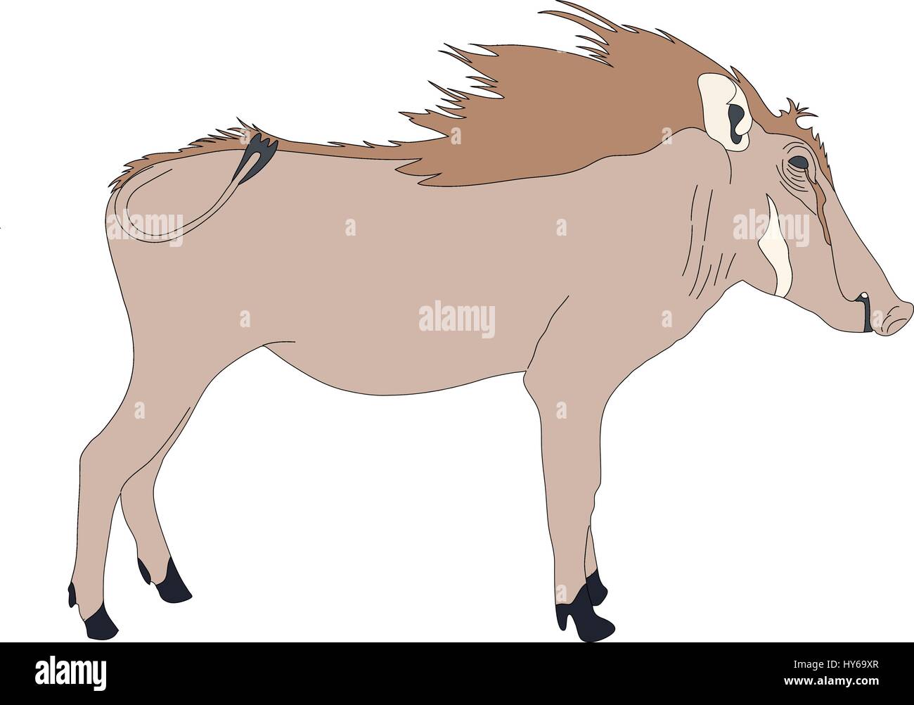 Ritratto di un warthog permanente Illustrazione Vettoriale