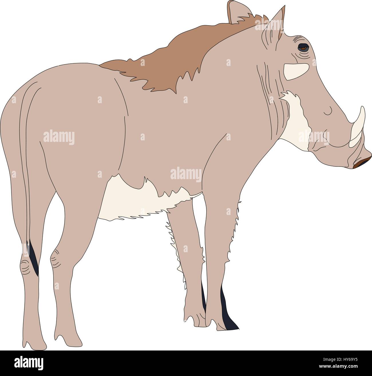 Ritratto di un warthog permanente Illustrazione Vettoriale