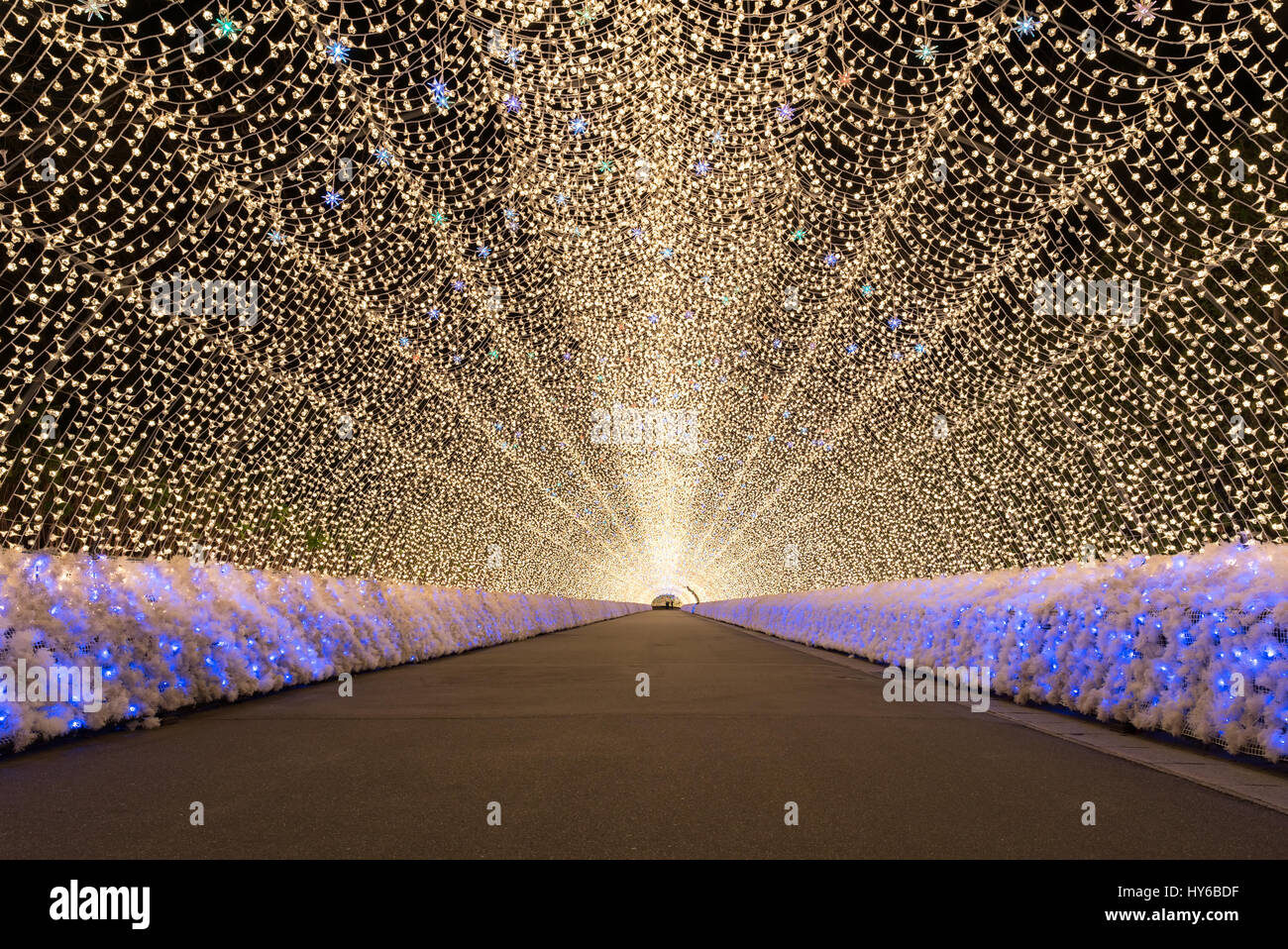 Nagoya, Giappone. Nabana no Sato il giardino di notte in inverno Foto Stock