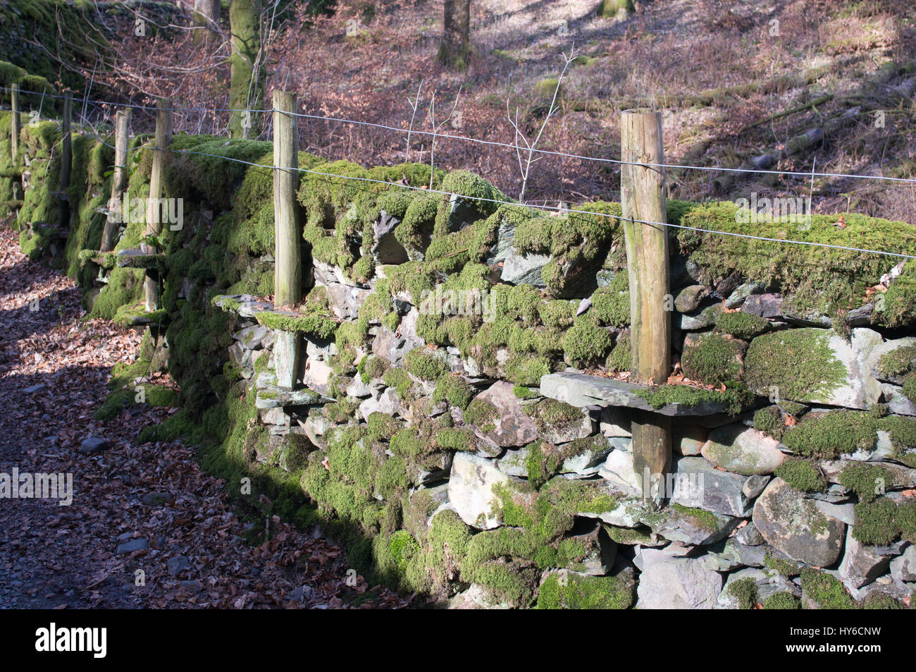 Moss ricoperta in pietra a secco con parete solidale post supporta e rete metallica Foto Stock