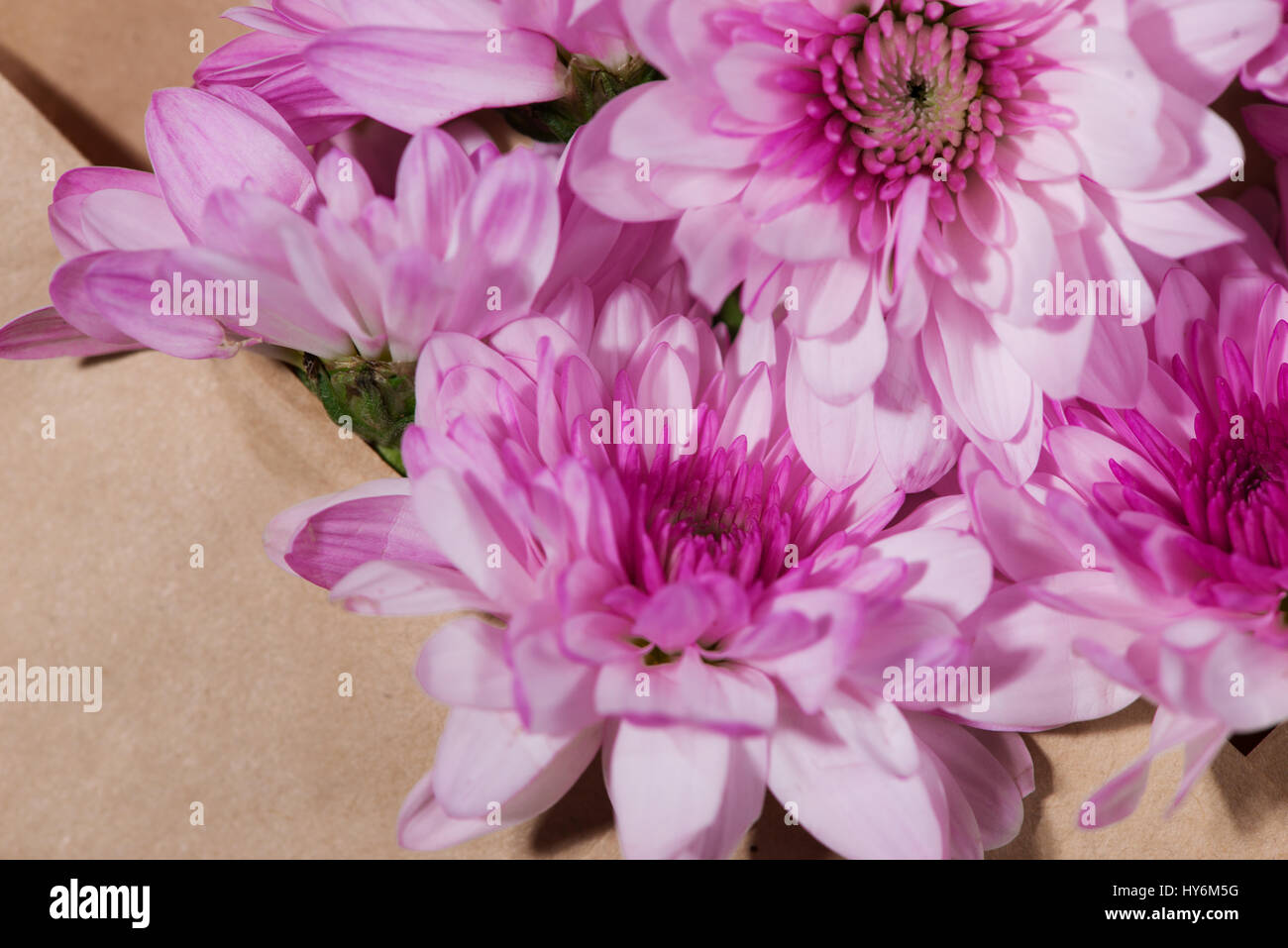 Vuoto bianco tag di carta marrone con busta e fiori di colore rosa sul tavolo di legno. Foto Stock