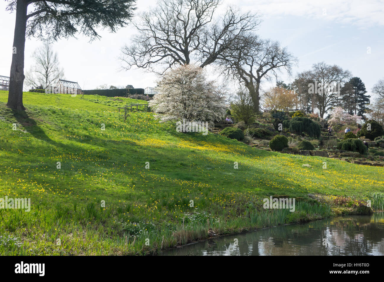 RHS Wisley Surrey UK in primavera Foto Stock