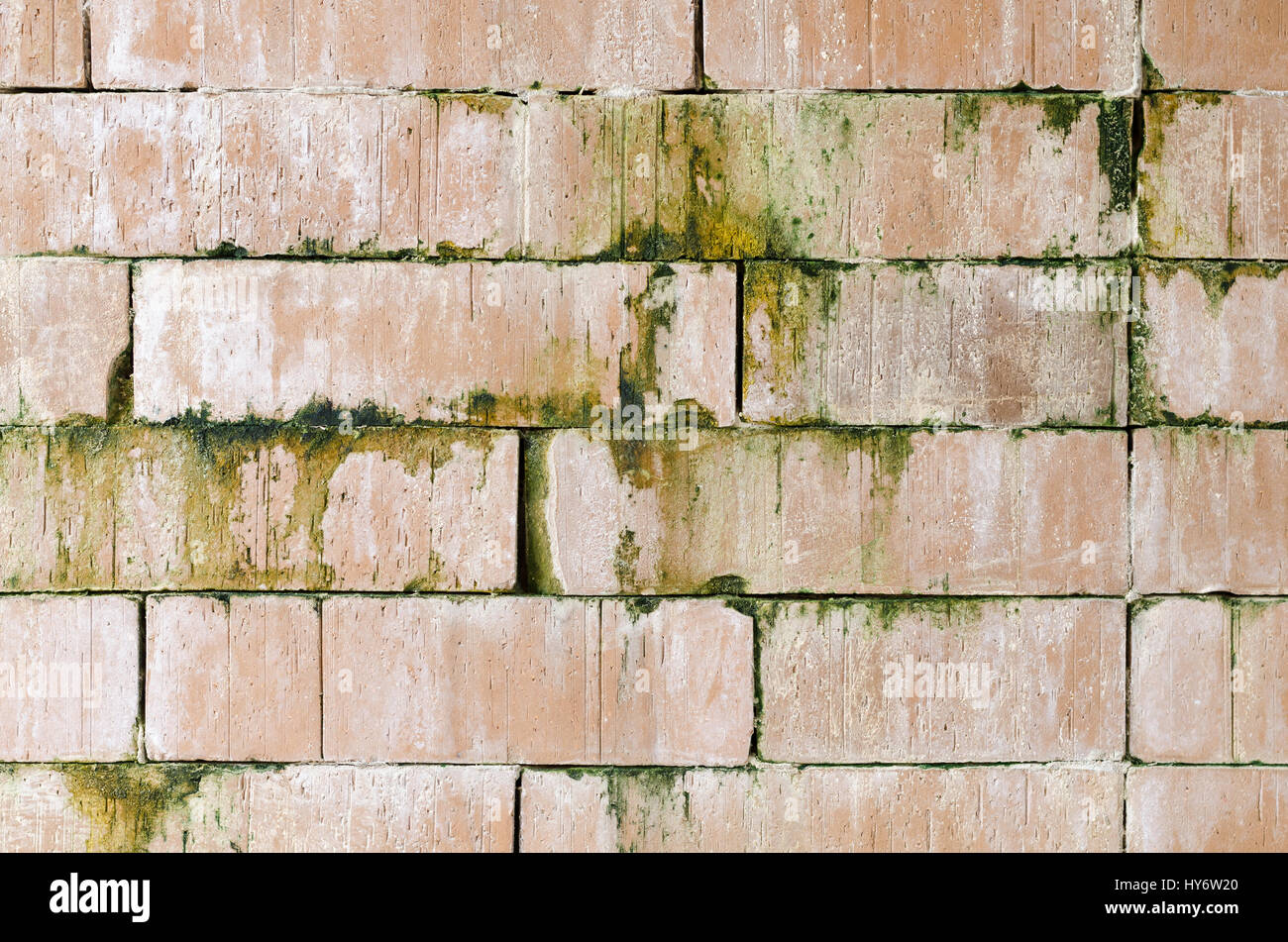 Arancione parete in mattoni con moss Foto Stock