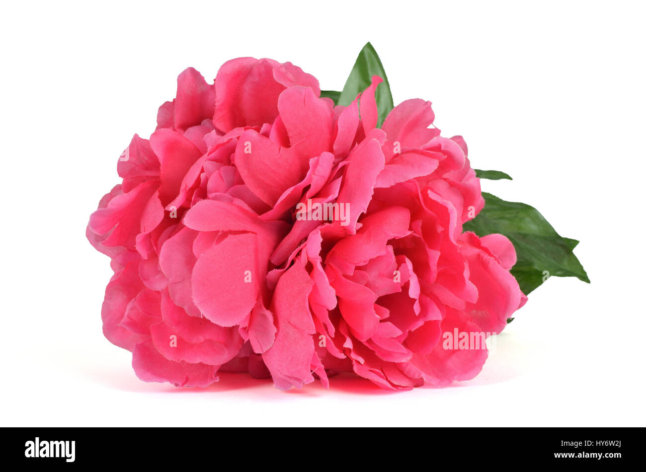 Rosa vibranti fiori artificiali isolate su sfondo bianco Foto Stock
