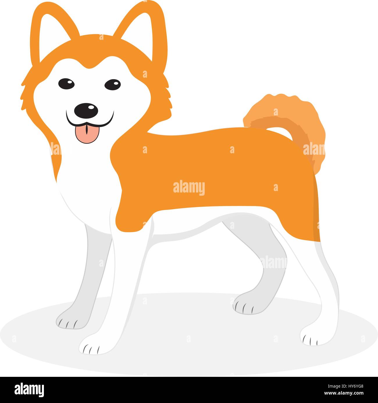 Akita Inu cane di razza icona, piatta, stile cartoon. Grazioso cucciolo isolato su sfondo bianco. Illustrazione Vettoriale, clip-art. Illustrazione Vettoriale
