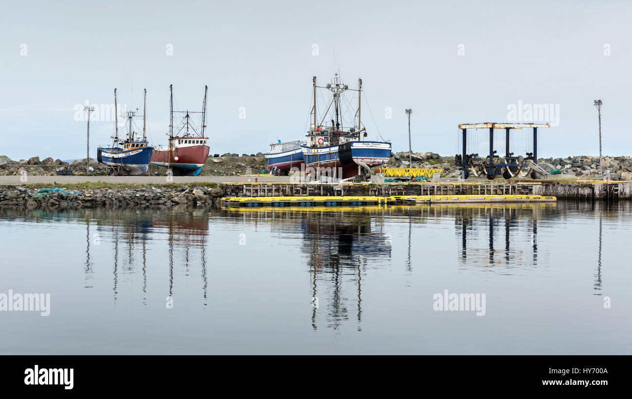 Barche da pesca cazzate fino sulla scogliera, Bonavista Harbour, Terranova Foto Stock