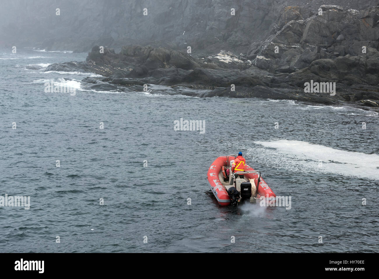 Zodiac in Lighthouse Cove, Quirpon Isola, Terranova Foto Stock