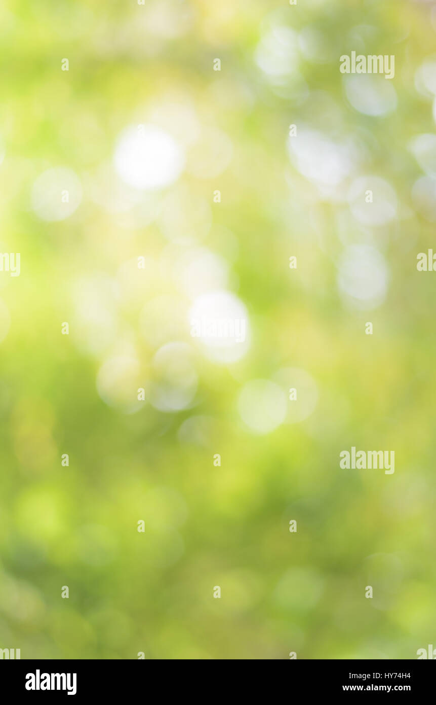 Abstract cerchio di sfondo bokeh in tono verde Foto Stock