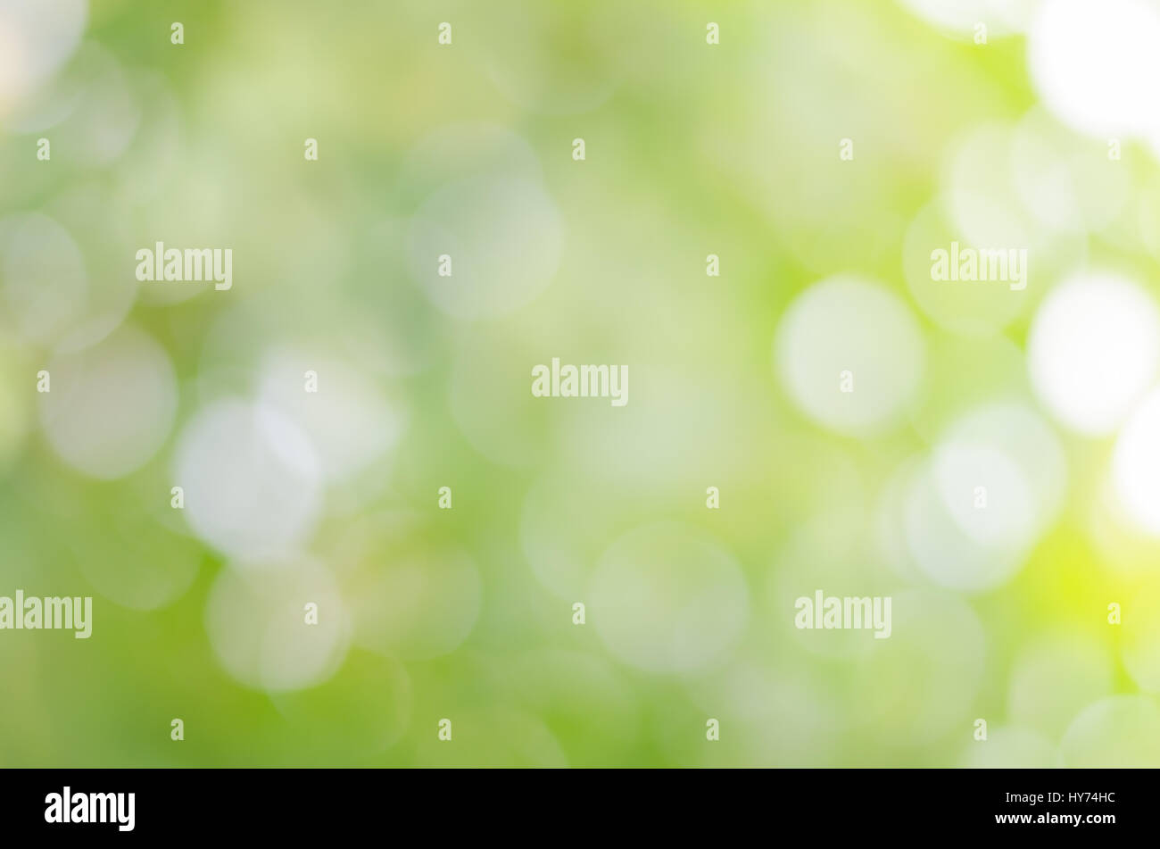 Abstract di sfocatura dello sfondo bokeh da albero verde Foto Stock