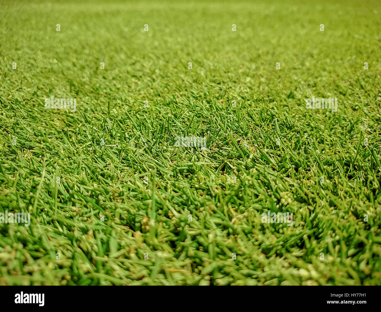 Campo da golf, naturale erba verde Foto Stock