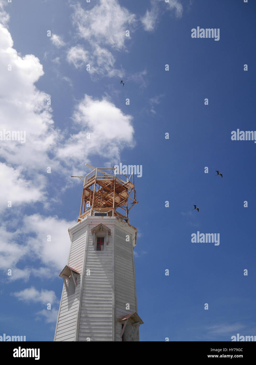 Faro luminoso blu cielo blu circondato da uccelli Foto Stock