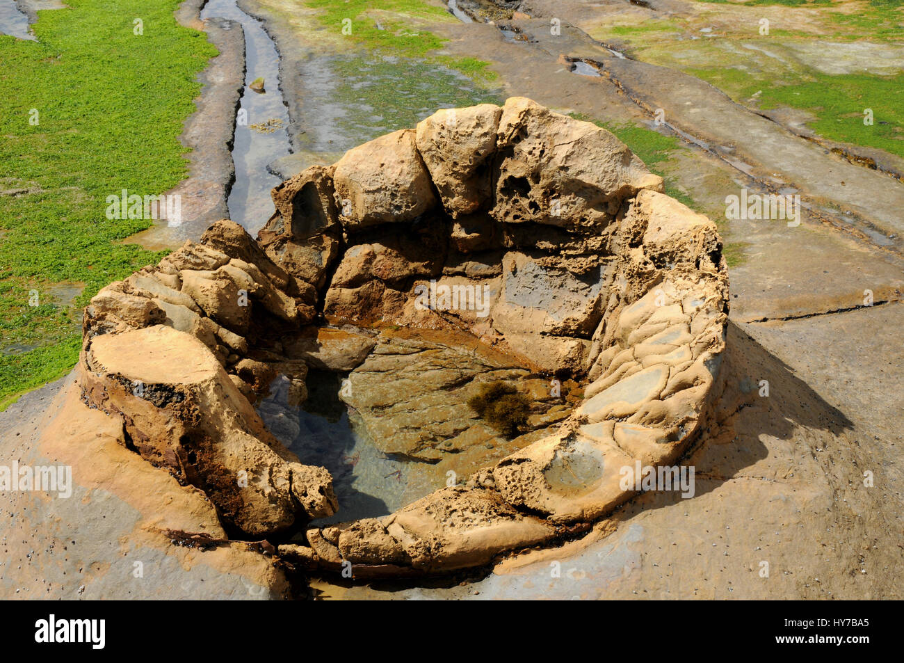 Rimane del Katiki massi sulla spiaggia vicino a Shag Point, il loro più famoso cugini sono circa 12 km a nord di questi a Moeraki. Foto Stock