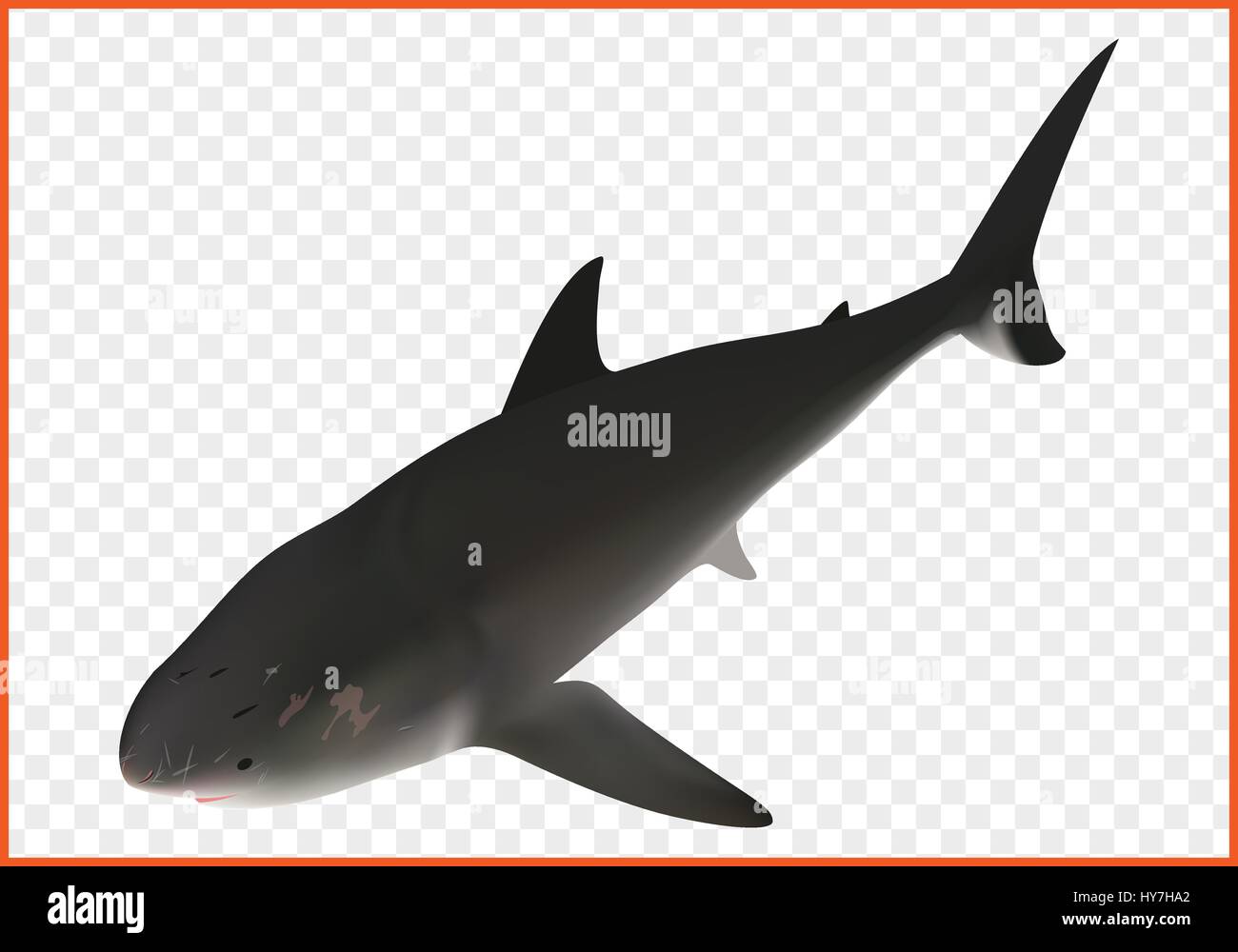 Shark vettore isometrica Illustrazione Vettoriale