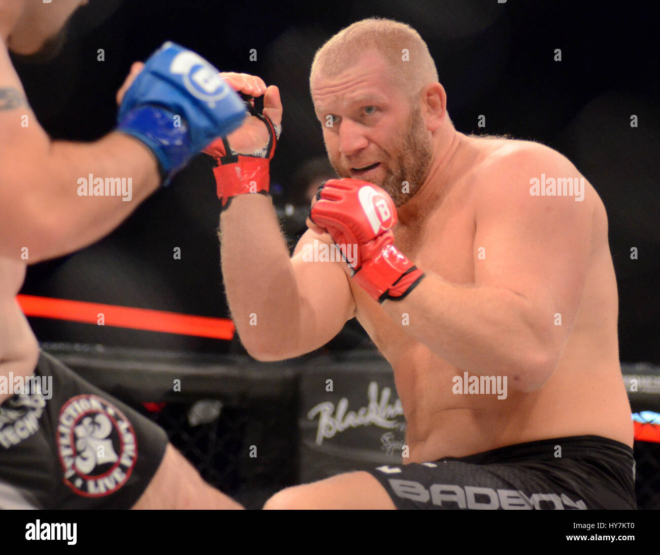 Rosemont, Illinois, Stati Uniti d'America. 31 Mar, 2017. Sergei Kharitonov (nastro rosso) in azione durante il Bellator 175 all'Allstate Arena in Rosemont, Illinois. Ricky Bassman/Cal Sport Media/Alamy Live News Foto Stock