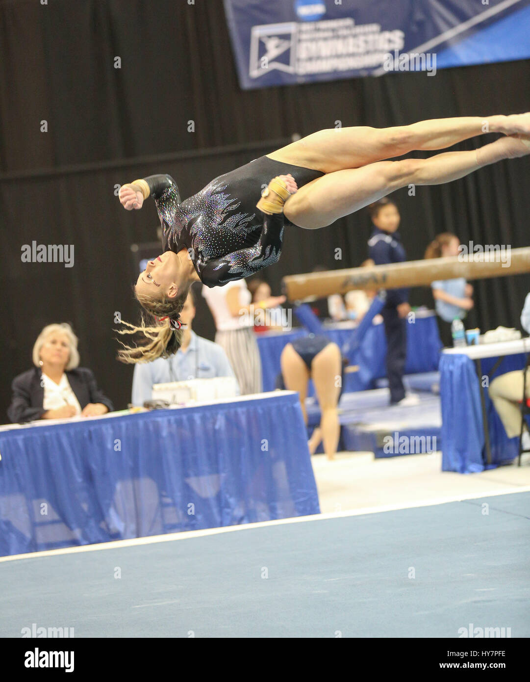 Fayetteville, AR. 1 apr, 2017. Denver è Julia Ross esegue un tumbling pass duirng NCAA donna ginnastica Fayetteville regionale alle Barnhill Arena di Fayetteville, AR. Kyle Okita/CSM/Alamy Live News Foto Stock