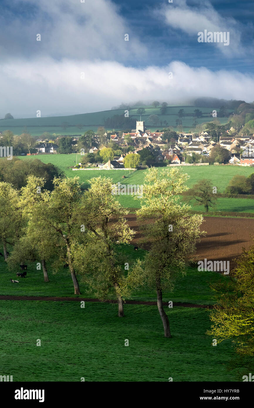 Sherborne, Dorset, Regno Unito. Il 2 aprile 2017. Mattina di primavera a Milborne Port, vicino a Sherborne Credito: David Hansford Fotografia/Alamy Live News Foto Stock