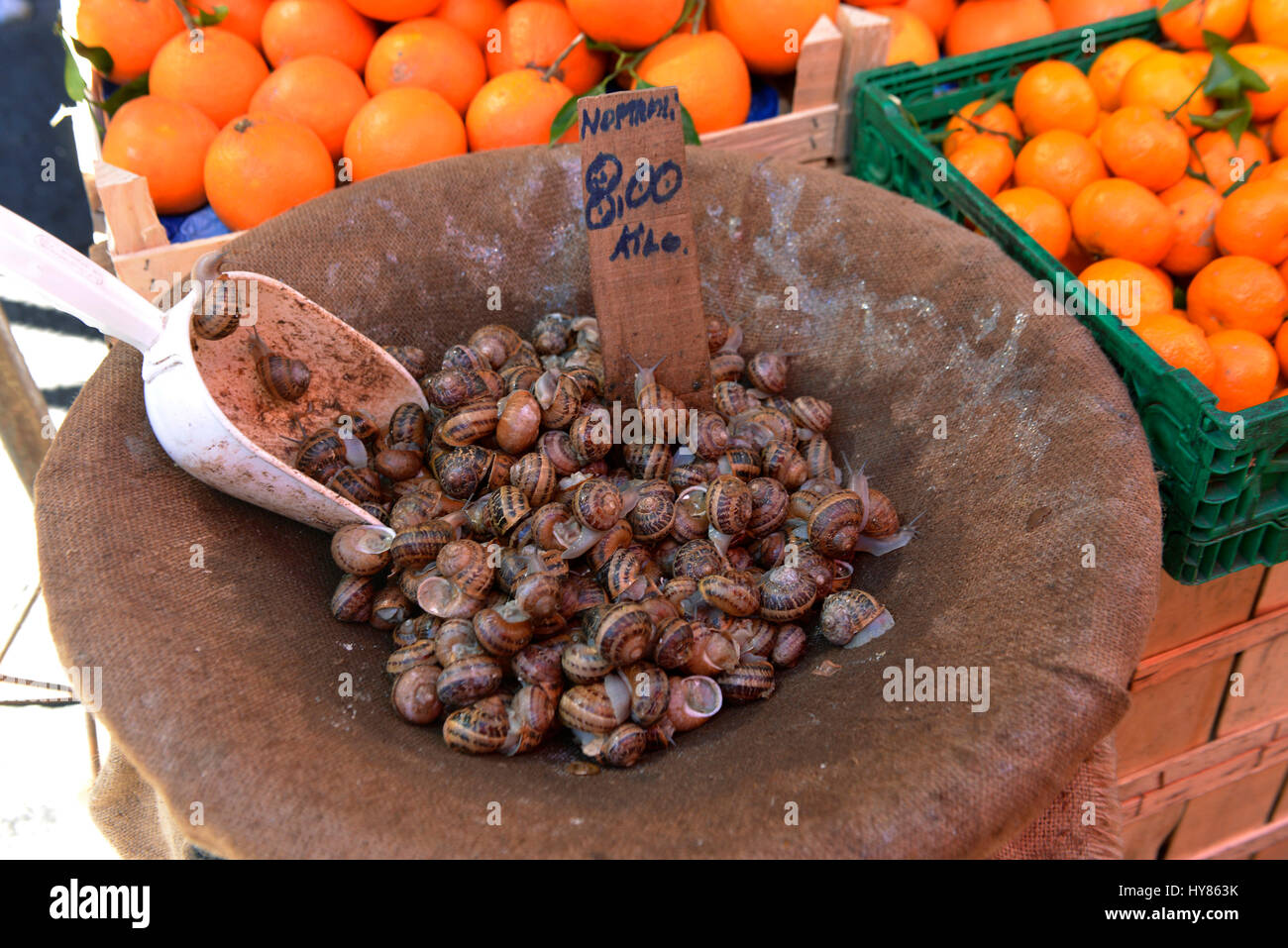 Lumache, mercato del pesce, la Piazza Alonzo di Benedetto, Catania, Sicilia, Italia, Schnecken, Fischmarkt, Sizilien, Italien Foto Stock