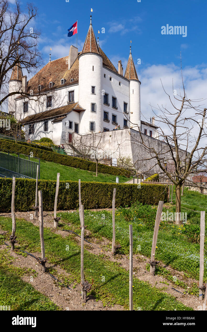 Il castello di Nyon, Nyon, Canton Vaud, Svizzera Foto Stock