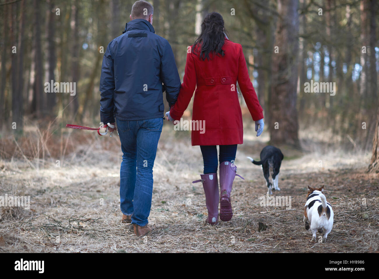 Una giovane coppia a piedi i loro due cani nei boschi Foto Stock