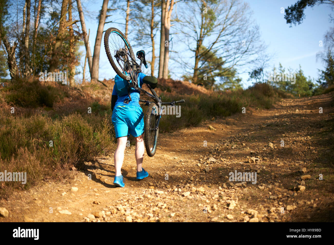 Un uomo porta la sua mountain bike nei boschi Foto Stock