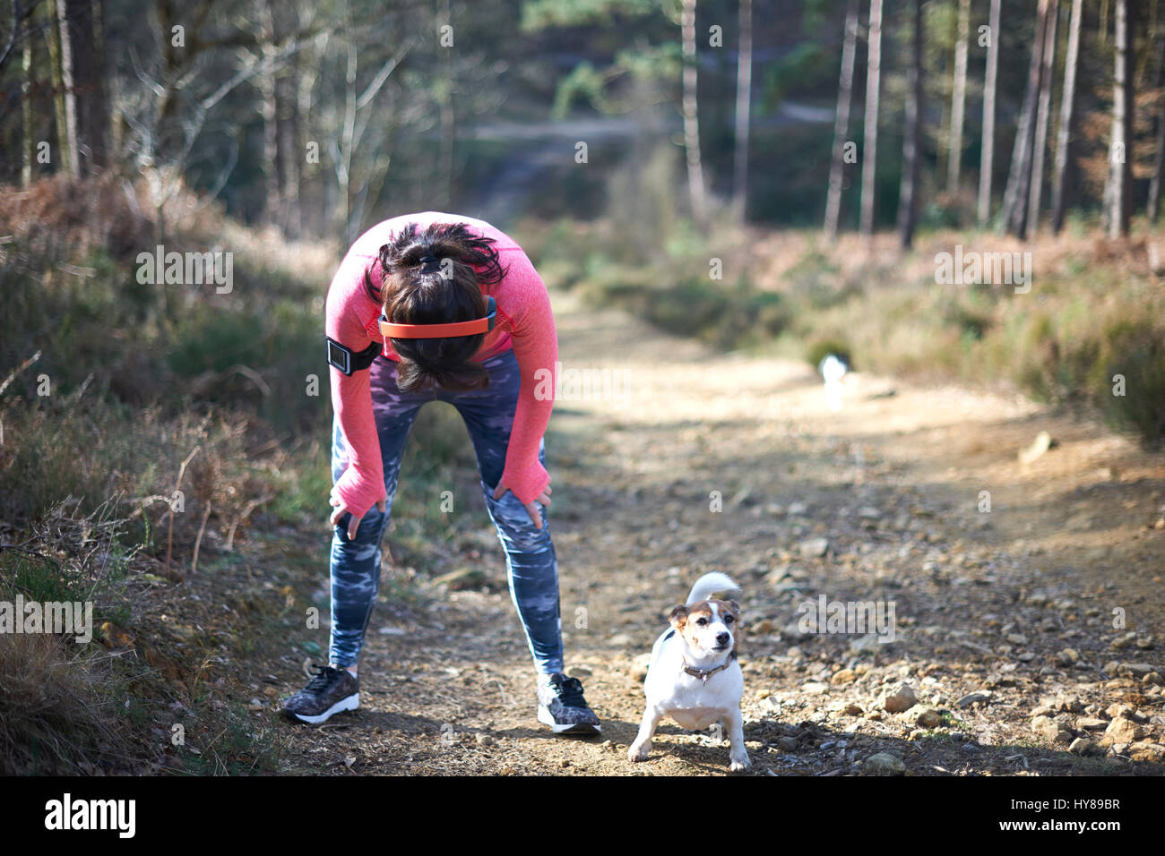 Una donna si appoggia dopo aver eseguito su una ripida collina con il suo cane di piccola taglia Foto Stock