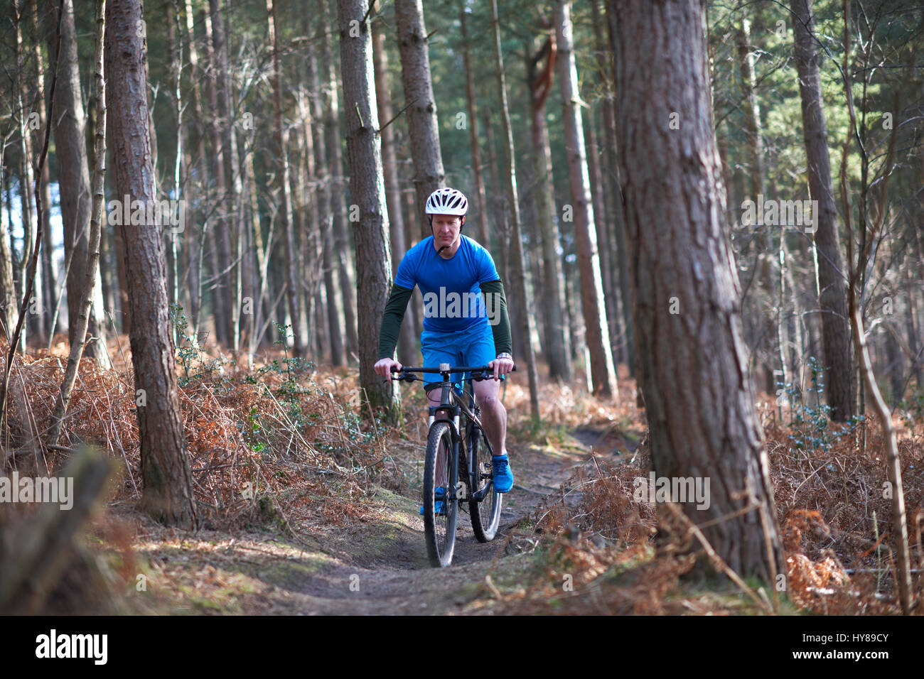 Un uomo in mountain bike nei boschi Foto Stock