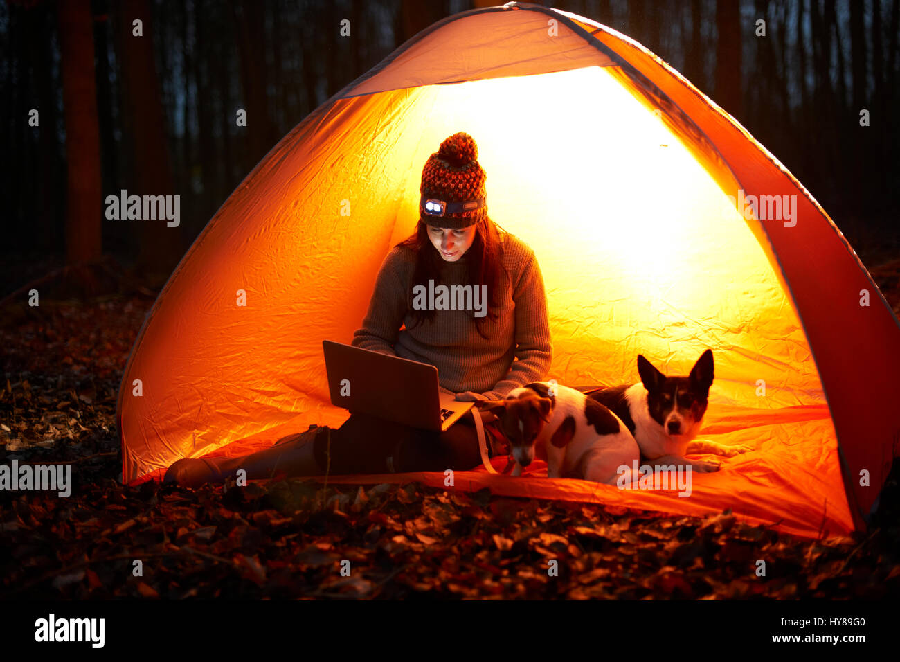 Una donna si siede in una tenda di notte con i suoi cani e guarda il suo computer portatile Foto Stock