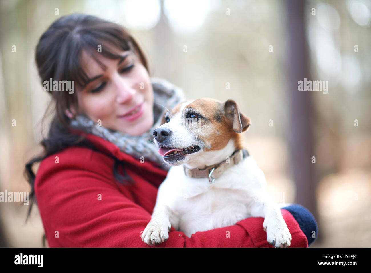 Una giovane donna trattiene il suo jack russell terrier Foto Stock