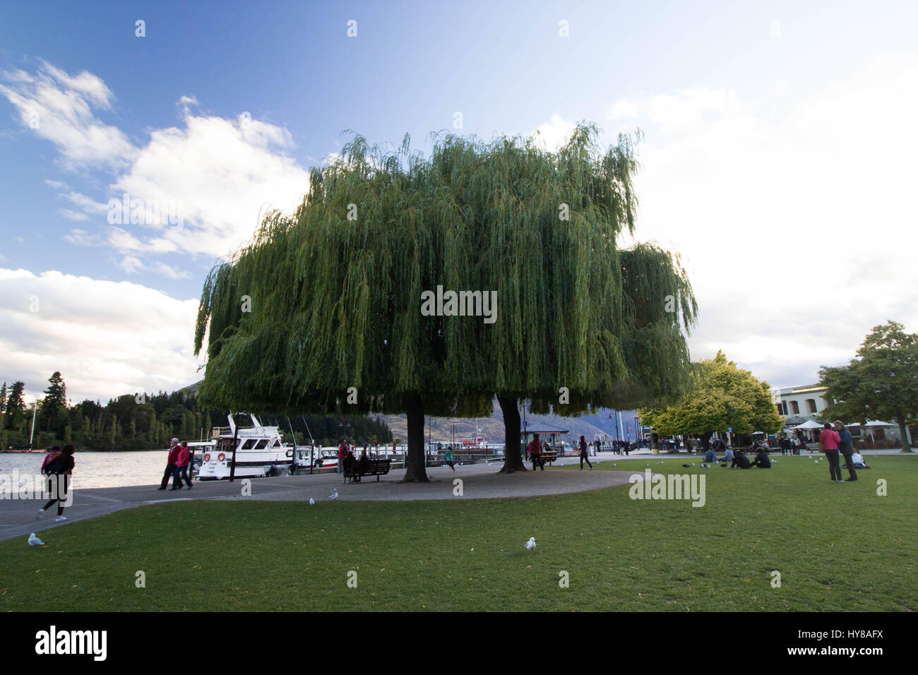 Struttura iconica in Queenstown Foto Stock