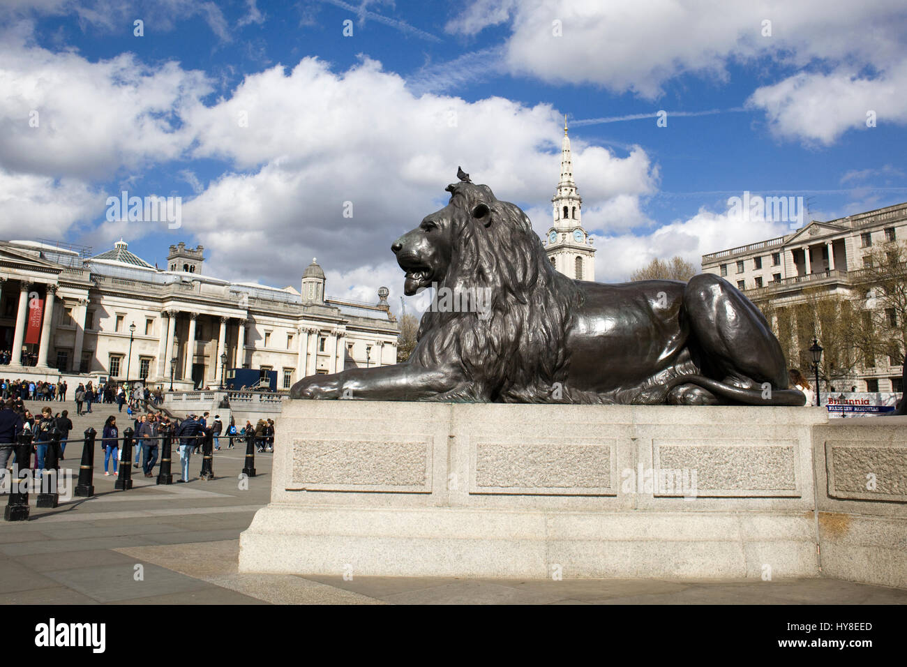 Landseer Lions. Trafalgar Square Londra Lions Foto Stock