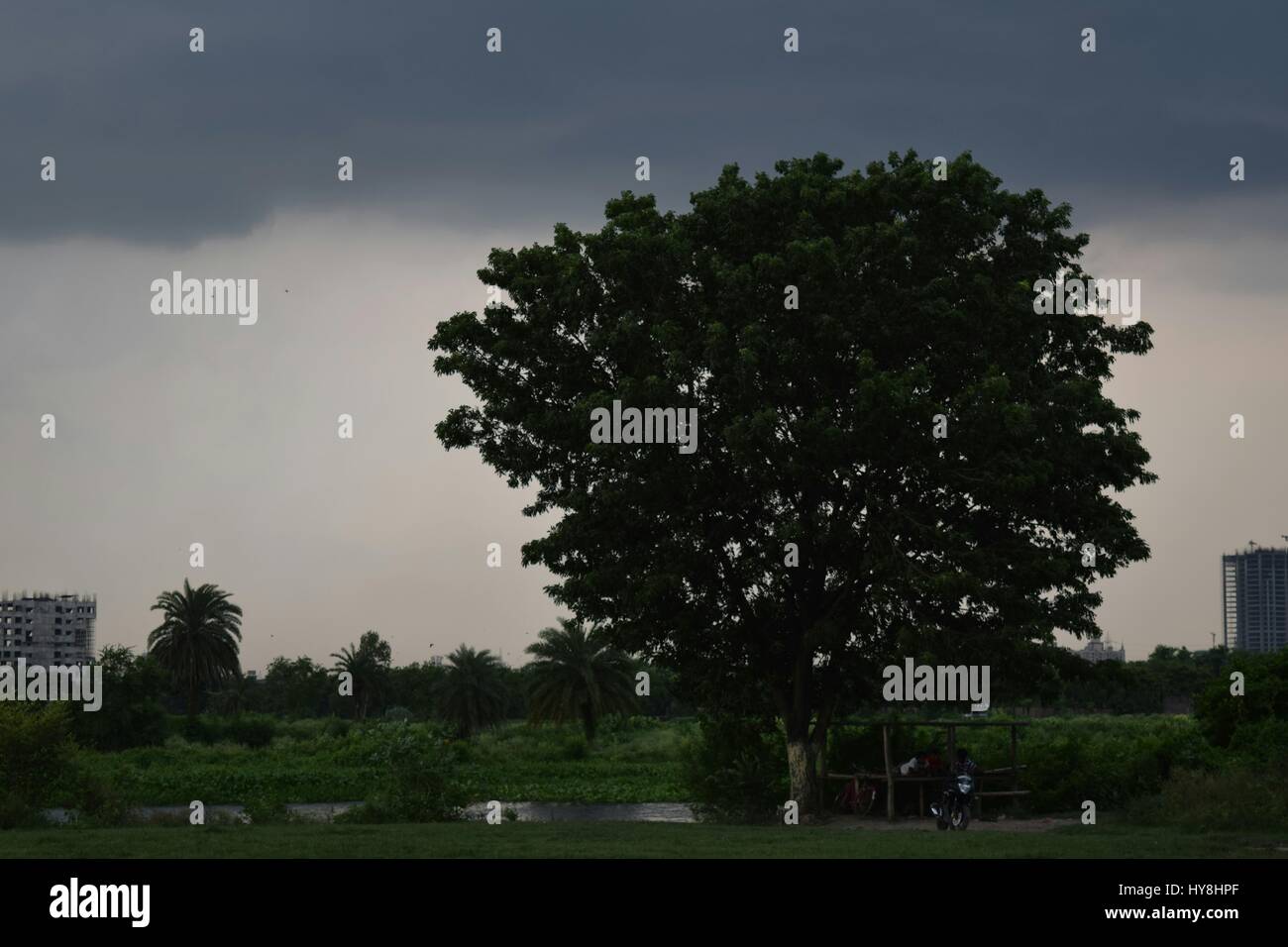 bellezza della natura Foto Stock