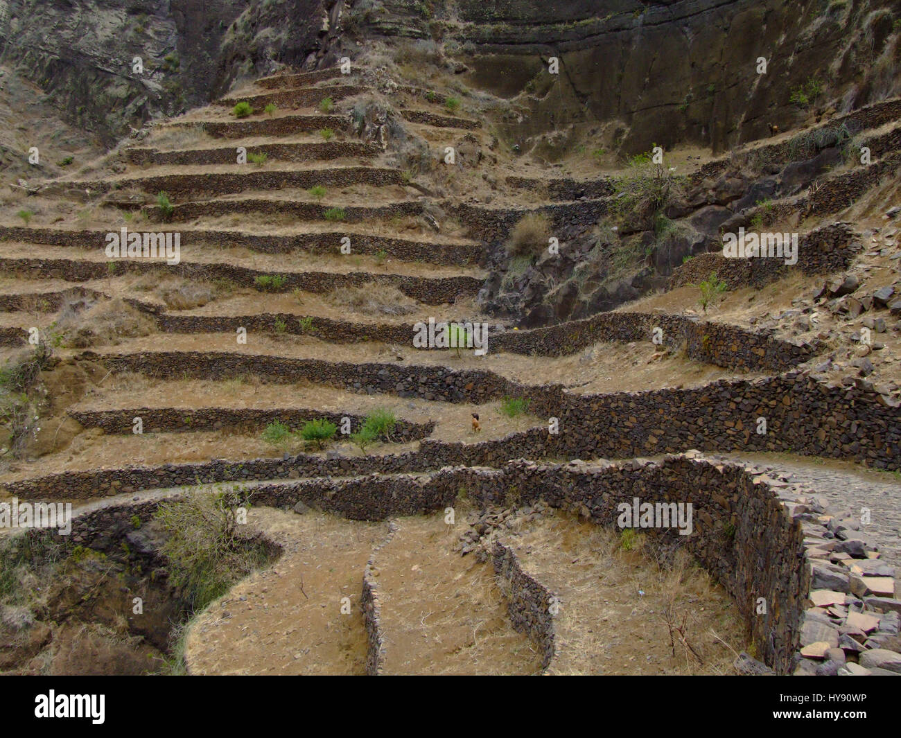 Terrazze di roccia nei pressi di Fontainhas, Santo Antao, Repubblica di Cabo Verde, Africa. Foto Stock