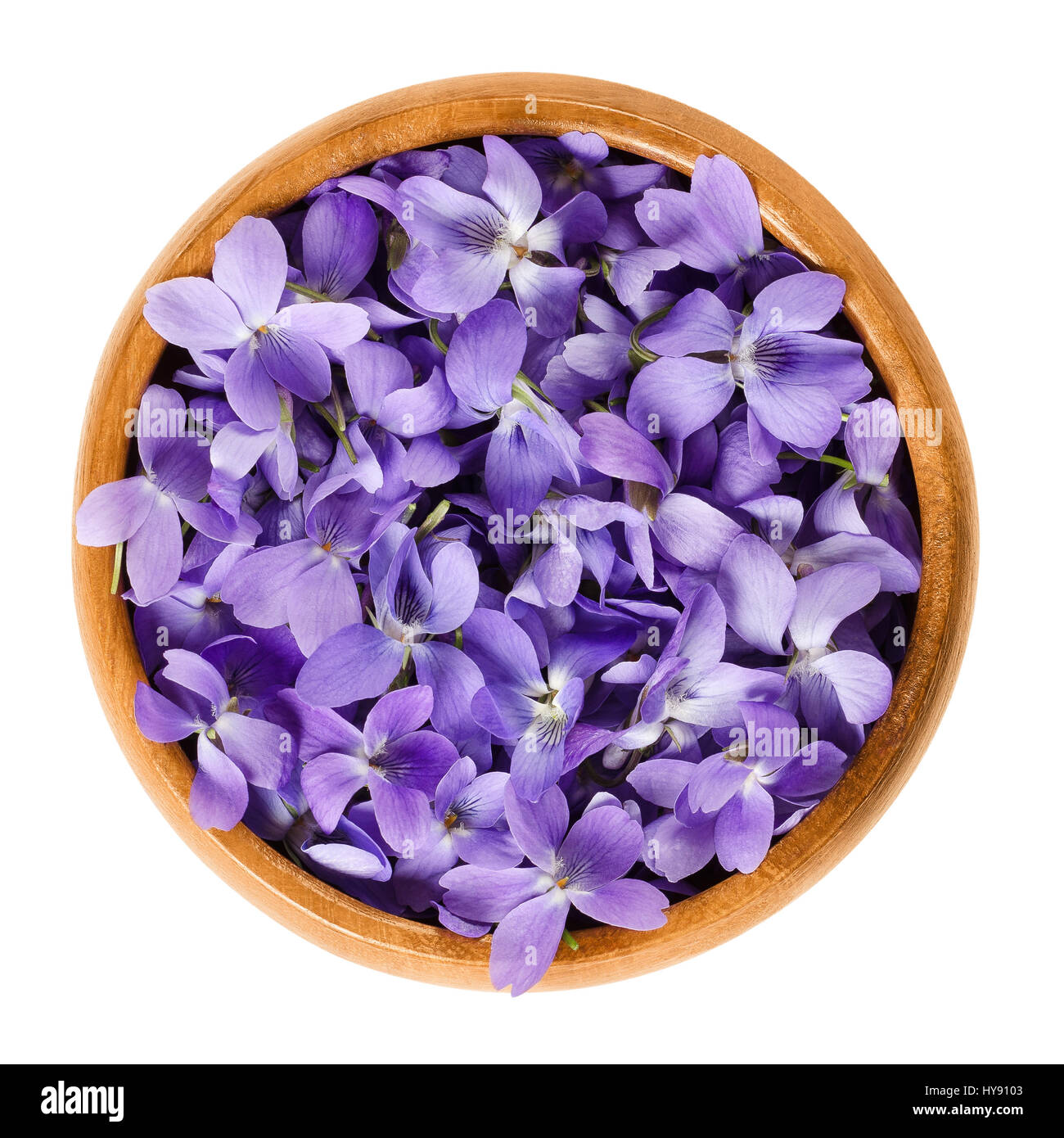 Wild fiori viola nella ciotola di legno. Anche la lavorazione del legno, dolce, inglese, comune o giardino violetto. Viola odorata. Fiori commestibili, utilizzati come decorazione per insalata. Foto Stock