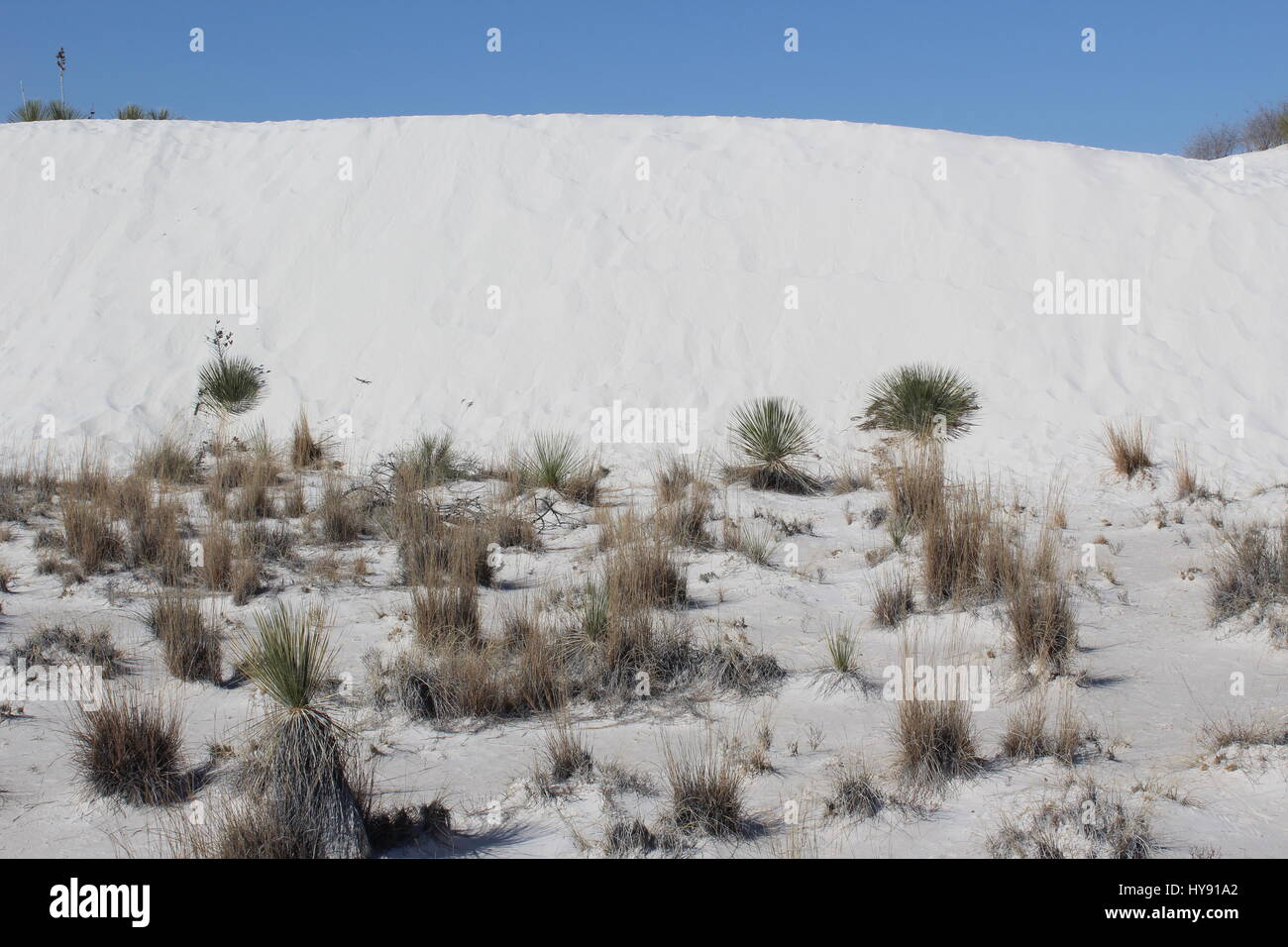 Gesso bianco dune di sabbia, White Sands National Monument, deserto del Chihuahuan NM USA Foto Stock