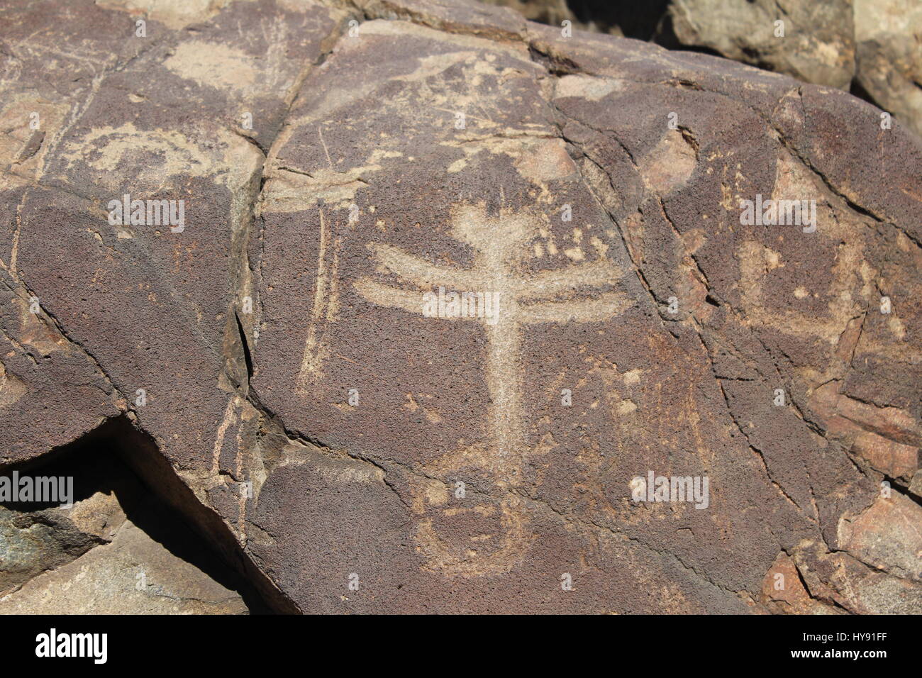 Dragonfly petroglyph, Dragonfly Trail, Gila National Forest, Silver City NM USA Foto Stock