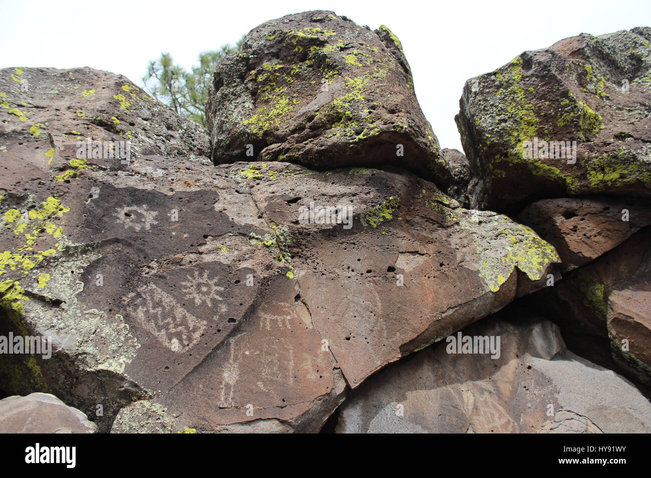 Incisioni rupestri, Picture Canyon, Flagstaff AZ USA Foto Stock