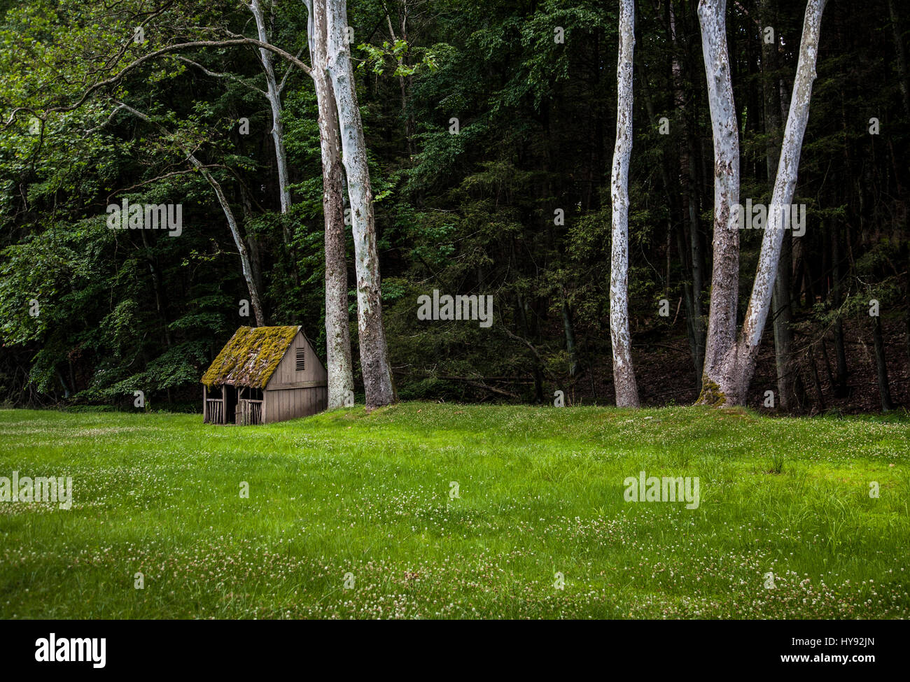 Autunno capannone di pecore in una fattoria storica, New Hope, Pennsylvania, Stati Uniti, paesaggistico confine boschivo coloniale America agricoltura isolato albero forestale Foto Stock