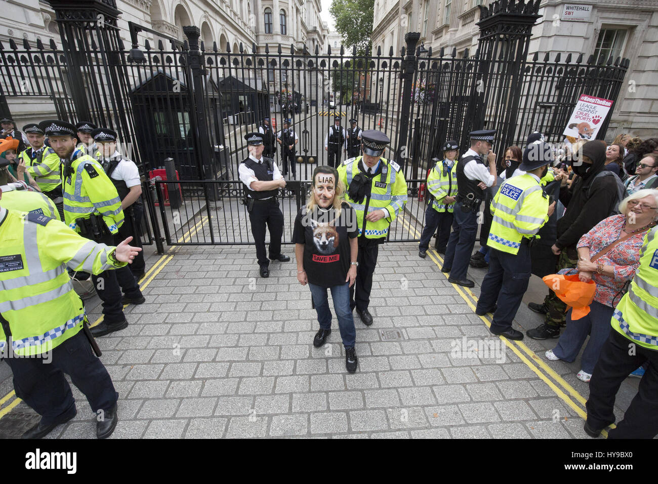 Un dimostranti presso un anti-caccia alla volpe nel rally di Londra come il governo britannico è stato costretto in una drammatica salita verso il basso dopo che i suoi piani per il relax di un divieto di caccia alla volpe è stata arrestata dalla decisione del Partito nazionale scozzese (SNP) e i suoi 56 MPs al blocco c Foto Stock