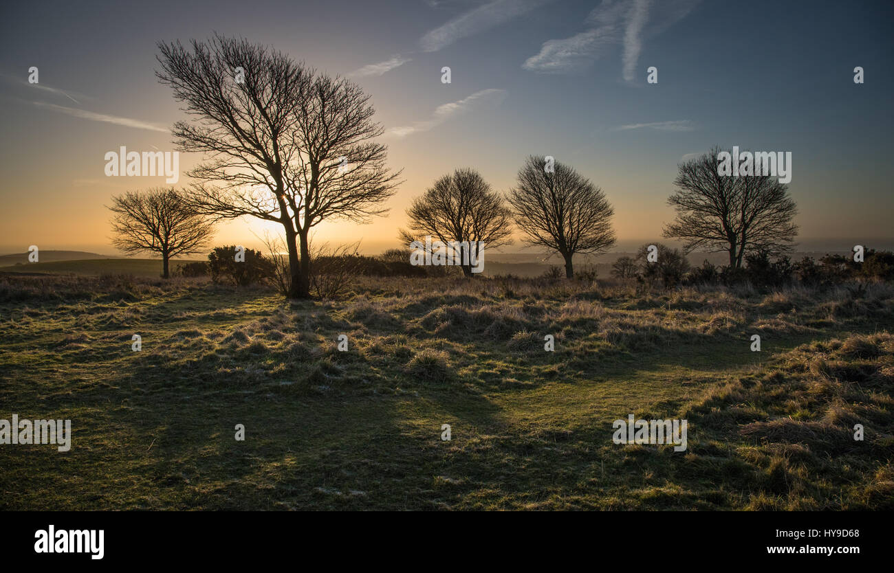 Sunrise a Cissbury Ring Foto Stock