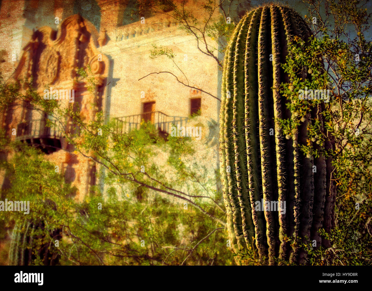 Un cactus nel giardino di una missione spagnola. Foto Stock