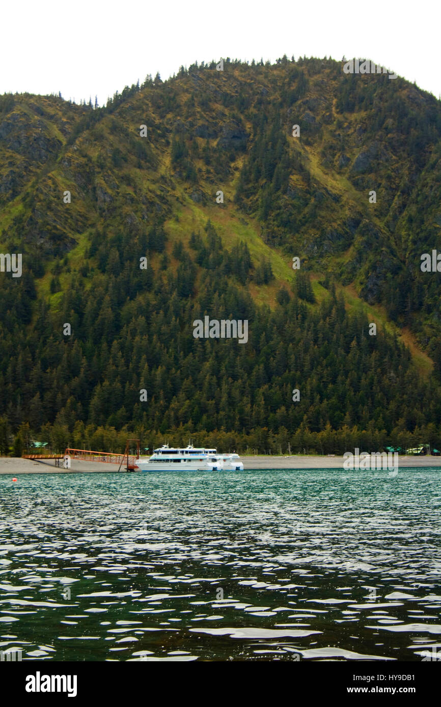 Una piccola crociera avvistamento balene spediti ancorata al Fox isola nei pressi di Seward, Alaska. Foto Stock