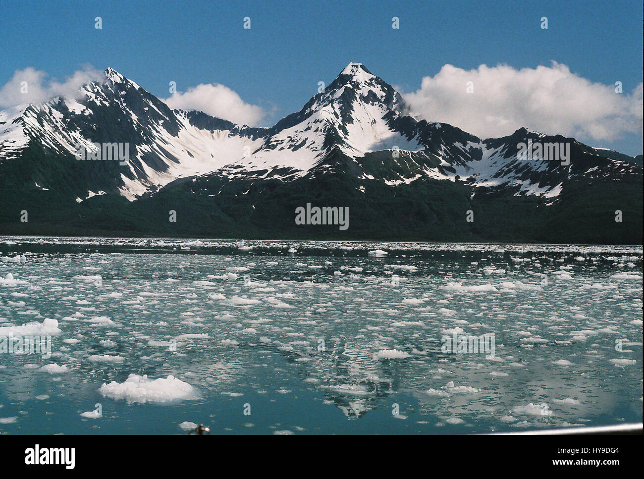 Pezzi di ghiaccio galleggianti sull'acqua oceanica con le montagne sullo sfondo vicino a Seward, Alaska. Foto Stock